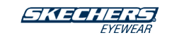 skechers-big-logo-250x57